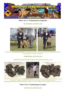 Nordenstamm News australia 2010-2011 2010