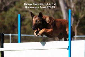 Nordenstamm_Sanka_National_Champion_IPO